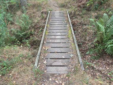 İskoçya 'daki Hudut Tepeleri üzerindeki manzaralar fundalık, koyun otlağı, nehir vadileri, katmanlı tepeler ve kırsal arazi üzerindeki açık gökyüzü ile kaplıdır..