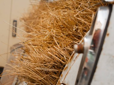 Sonbahar yaprakları yerde.