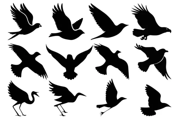 Kuş siluetleri simge çizimi seti. farklı türde kuş siluetleri.