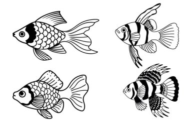 Resimli güzel akvaryum balığı. Akvaryum balığı vektör tasarımı