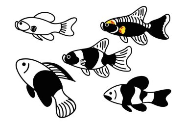 Resimli güzel akvaryum balığı. Akvaryum balığı vektör tasarımı