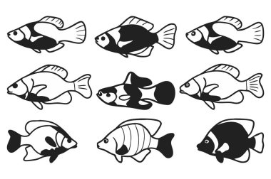 Resimli güzel akvaryum balığı. Akvaryum balığı vektör tasarımı