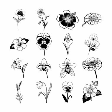 siyah ve beyaz çiçekler, 16 siluet çiçek demeti