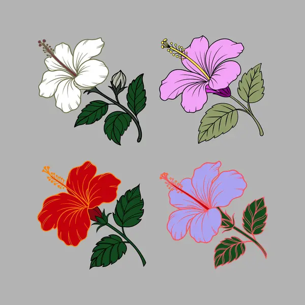 Hibiscus çiçek demeti farklı renklerde yapraklarla, tebrik kartı için zarif bir çiçek simgesi.