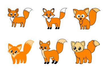 Yakışıklı tilki sürüsü. Zarafet ve Sevimlilik Koleksiyonu. Şirin tilki takımı.