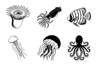 Suyun altındaki hayvanlar. Okyanus kaşifleri. Denizin büyüleyici yaratıklarıyla tanışın.