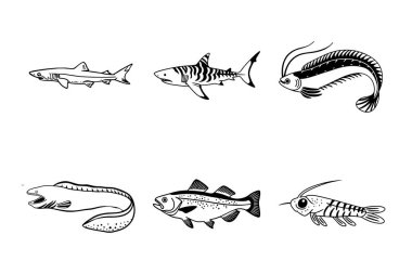 Bir sürü balık. Deniz Harikaları: Okyanus Derinliklerinin Eşsiz Hayvanları.