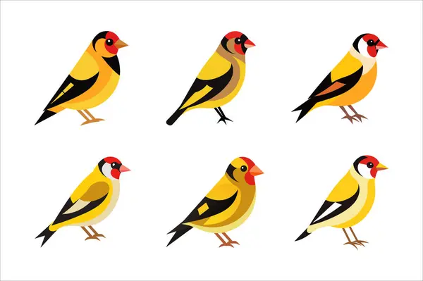 Goldfinch Vektör Paketi - Çekici Kuş Resimleri. Doğa, vahşi yaşam ve kuş temalı projeler için mükemmel..
