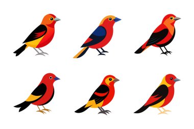 Şirin Tanager Kuşları Çizim Paketi. Bu tropikal kuşların güzelliği sanat eserleriniz için çok yönlü ve göz alıcı unsurlar sunuyor..