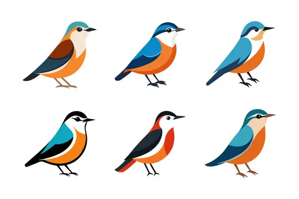  Şirin Nuthatch Birds Çizim Paketi. Tapılası Nuthatch kuş resimleri, doğadan esinlenilmiş tasarımlar, posterler, tebrik kartları ve yaratıcı projeler için mükemmel..