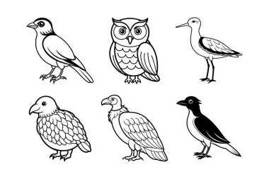 Kakapo, California Condor, Orman Baykuşu, kaşık gagalı Sandpiper gibi soyu tükenmiş kuşların ana hatlarıyla doludur..