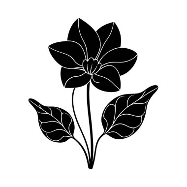 Kıbrıs siklamen silueti, yerel çiçek sanat illüstrasyonu