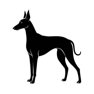 Kral Firavunu tazı silueti, Eski Mısır köpek vektör sanatı