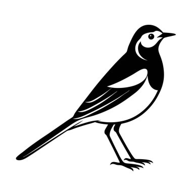 Tasarım ve doğa projeleri için minimal beyaz kuyruklu siluet vektör sanatı