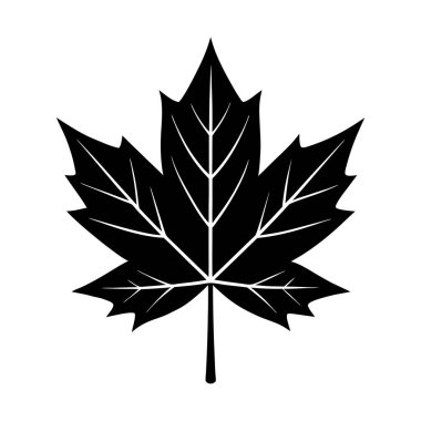 Akçaağaç yaprağı silueti sonbahar yaprakları doğa sembolü vektör tasarımı