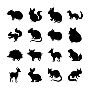 Popüler Küçük Memeliler Hayvan Koleksiyonu Olarak