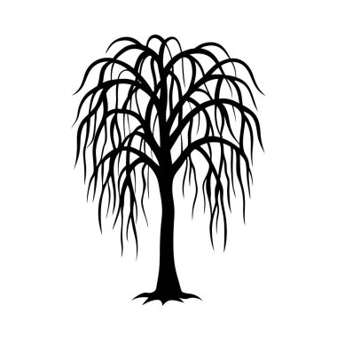 Ağlayan Söğüt Ağacı Silueti