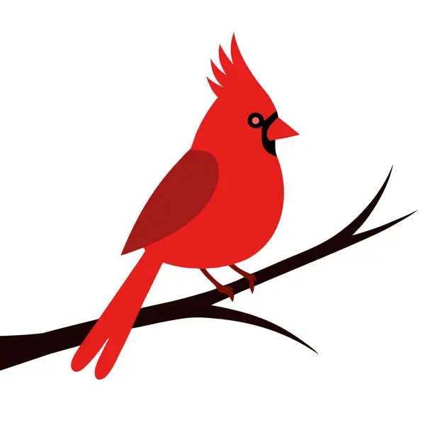 Kardinal Karlı Çam Kuşu Siluet Tasarımı