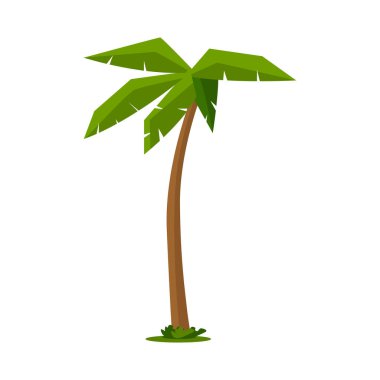 Hindistan cevizi palmiyesi düz vektör çizimi