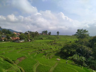 Pirinç tarlalarının atmosferi çok güzel ve bulutlar çok ilginç.