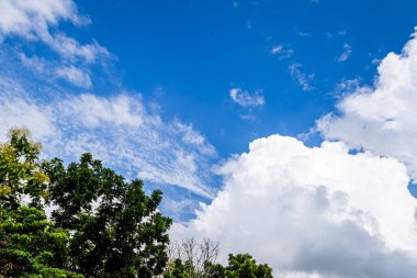 Gökyüzü mavidir ve birkaç bulut etrafa saçılmıştır. Ağaçlar yeşil ve gökyüzü berrak
