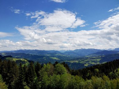 Bregenz, Avusturya - 18 Mayıs 2024: Panorama, dağlardaki güzel manzara