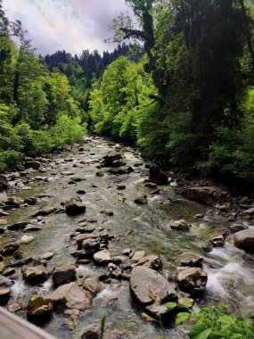 Dornbirn, Avusturya - 19 Mayıs 2024 Rappenloch Nehri