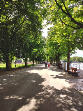 Dornbirn, Avusturya - 19 Mayıs 2024: Ormanın güzel manzarası, Rappenloch