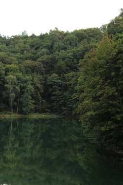 Ormandaki gölün güzel manzarası, Szmaragdowe Gölü, Pomerania