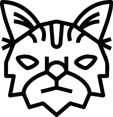 Kedi simgesi vektör resim çizimi