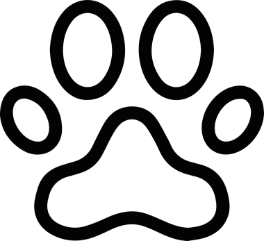 Kedi simgesi vektör resim çizimi