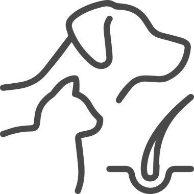 Kedi simgesi vektör resim çizimi