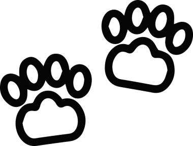 Kedi simgesi vektör resim çizimi