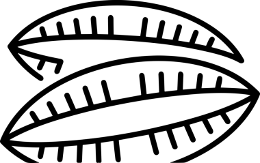 Web, Uygulama, UI / UX, Mobil Arayüz, Akıllı Teknoloji Tasarımı, Dijital Markalaşma, Kullanıcı Etkileşimi Sembolü ve Temiz Tek Renk Biçiminde Modern Grafik Elementi içeren PNG Biçimli El Simgesi Logosu