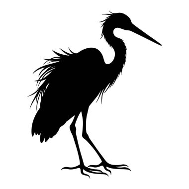 Güzel büyük balıkçıl silueti, beyaz bir arka planda izole edilmiş. Kuş ve vahşi yaşam temalı tasarımlar için vektör çizimi ideal. Doğa ve hayvanlarla ilgili projeler için mükemmel.