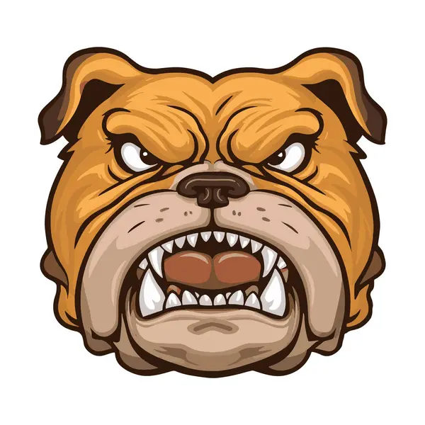 Beyaz arka planda kızgın buldog suratlı bir maskot. Vahşi vektör çizimi logolar ve spor tasarımları için idealdir