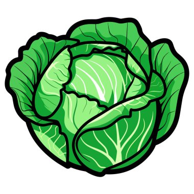 Büyük yeşil yapraklı lahana. Salatalar ve vejetaryen yemekleri için taze, sağlıklı ve organik sebzeler..