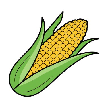 Mısır sebze çizimi. Meksika mutfağı, gıda ambalajı ya da mutfak teması için mükemmel bir tasarım unsuru. Düz biçim, beyaz arkaplanda izole edilmiş.