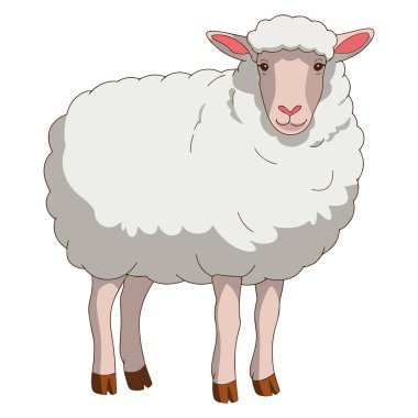 Dişi koyun ikon vektörü. Yün üretimi için çiftlik hayvanı. Beyaz arkaplanda izole edilmiş basit düz veya çizgi film çizimi.