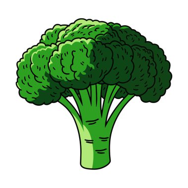 Taze brokoli sebze ikonu. Doğadan esinlenilmiş tasarım sağlıklı yiyecekleri sembolize ediyor. Düz vektör çizimi, ambalaj, menüler veya çevre dostu kavramlar için idealdir