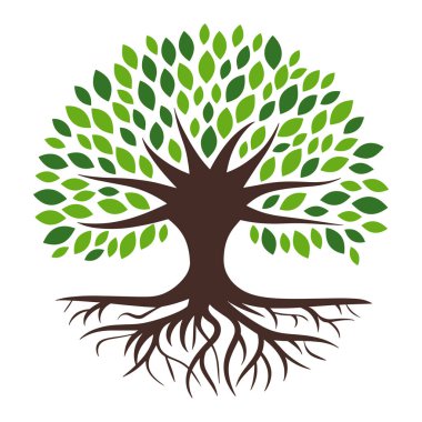 Yeşil ağaç illüstrasyonunda yemyeşil yapraklar ve görünür kökler var. Doğa, ekoloji ve çevre kavramları için mükemmel..