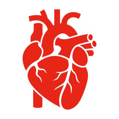 Kırmızı, düz bir kalp organı ikonu. Tıbbi tasarımlar, sağlık sembolleri ve anatomi projeleri için vektör çizimi ideal. Eğitim ve sağlıkla ilgili görseller için mükemmel