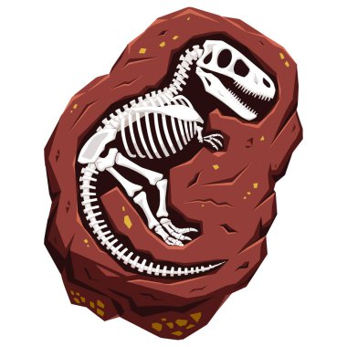 Bir Tyrannosaurus rex fosilinin karikatür çizimi, oyuncu ve detaylı bir dinazor iskeleti içerir. Vektör tasarımı beyaz arkaplanda izole edildi.
