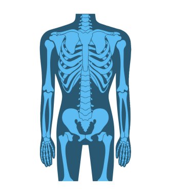 Tıbbi sağlık hizmetleri X-ray muayene ikonu. İzole edilmiş düz vektör çizimi, sağlık, tıbbi ve teşhis tasarımı temaları için idealdir.