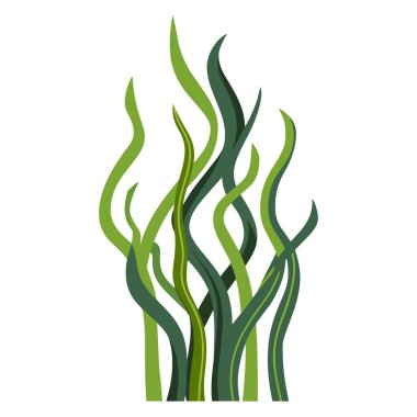 Su altı deniz yosunu spirulinası ve deniz yosunu bitkisi. Deniz biyolojisi temaları, sağlık ve refah tasarımları ve suda eğitim görselleri için ideal.