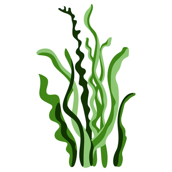 Подводные водоросли и водные морские водоросли. Перфект для морской флоры и фауны, дизайна океанов и водных учебных материалов.