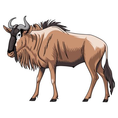 Antilop çizimi, düz stil çizgi film karakteri. Antilop tasarımı, beyaz bir arka planda izole edilmiş. Vahşi yaşam kavramları, eğitim amaçları ve hayvan temalı tasarımlar için ideal..