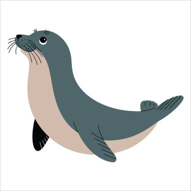 Fil fok vektör çizimi, bacakları olan bir deniz hayvanı. Eşsiz deniz hayatı sanat çalışmaları vahşi yaşam ve doğa temaları için mükemmel..