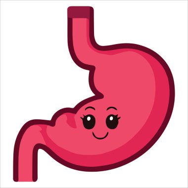 Neşeli mide karakteri çizim vektörü. Beslenme eğitimi ve sindirim sağlığı farkındalığı için oyuncu anatomi tasarımı ideal.