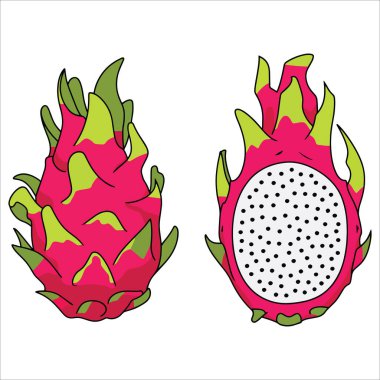 Ejderha meyve çizimi bütün ve dilimlenmiş manzaraları gösteriyor. Düz çizgi film tarzında tropik yaz meyve ikonu, sağlıklı yaşam tarzı ve egzotik yemek temaları için mükemmel..